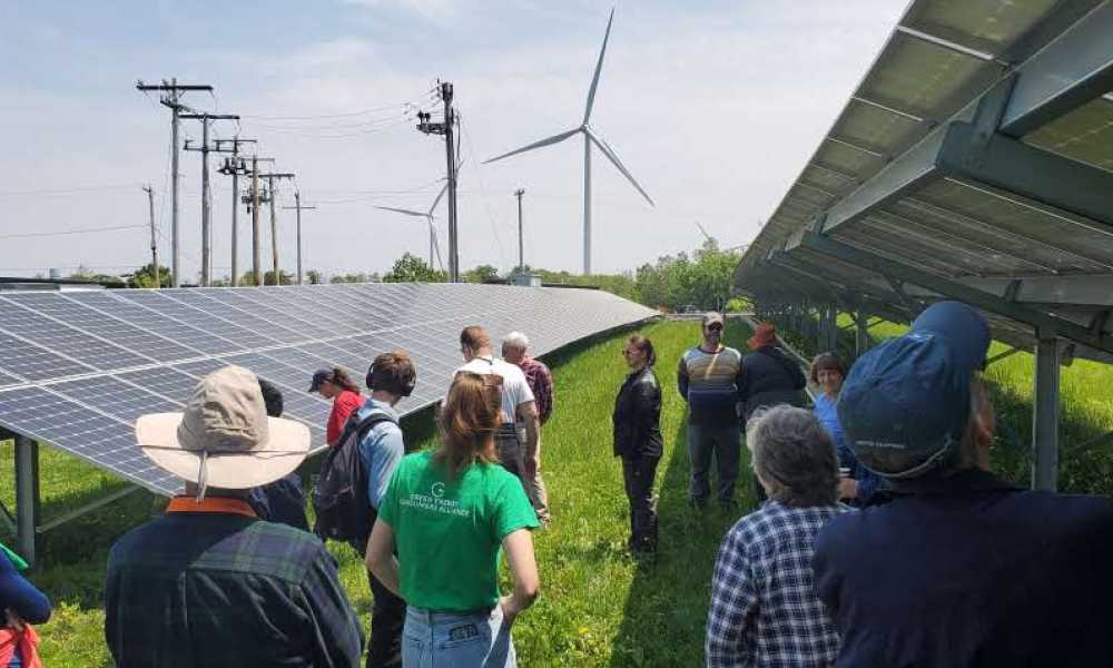 green-energy-consumers-alliance